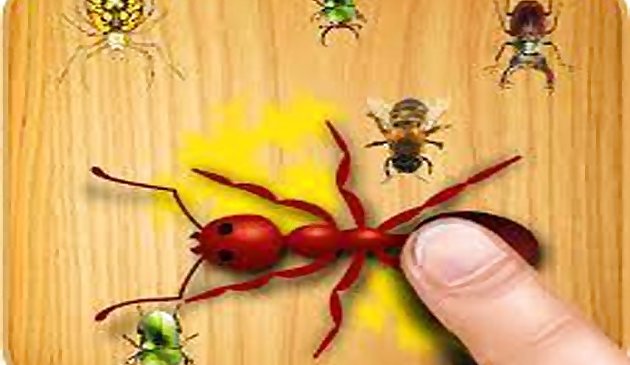 Ameisen berühren