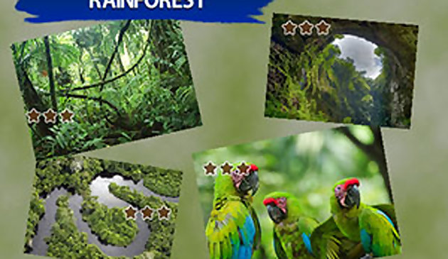 직소 퍼즐 열대 우림