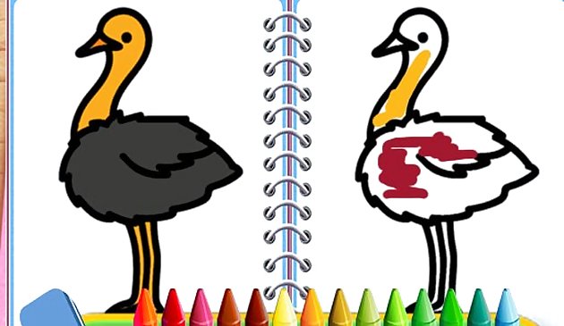 Jeu d’oiseaux à colorier