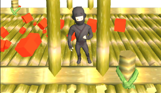 Ninja läuft 3D